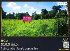 ที่ดิน 310.3 ตร.ว.ใกล้ ถ.ราชสีมา-โชคชัย นครราชสีมา