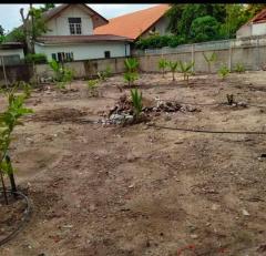 ขายที่ดินถมแล้ว160วา ถ.แจ้งวัฒนะ 43 ใกล้สถานีรถไฟฟ้าเมืองทอง เพียง1.5กม.ม.สหกรณ์การบินไทย ต.คลองเกลือ อ.ปากเกร็ด ใกล้ห้างโลตัส บิ๊กซี แจ้งวัฒนะ-202310161635281697448928422.jpg