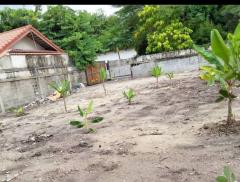 ขายที่ดินถมแล้ว160วา ถ.แจ้งวัฒนะ 43 ใกล้สถานีรถไฟฟ้าเมืองทอง เพียง1.5กม.ม.สหกรณ์การบินไทย ต.คลองเกลือ อ.ปากเกร็ด ใกล้ห้างโลตัส บิ๊กซี แจ้งวัฒนะ-202310161637141697449034263.jpg