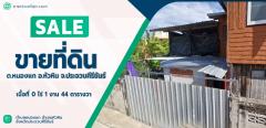 ขายที่ดิน ใกล้ทะเล ต.หนองแก อ.หัวหิน จ.ประจวบคีรีขันธ์ เนื้อที่ 144 ตร.ว. 1 งาน 44 ตร.วา