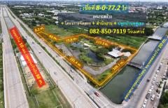 ขาย-ที่ดิน-พุทธมณฑลสาย-3-(ติดถนนใหญ่-แ