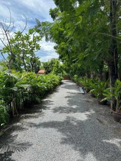 ขาย บ้านสไตล์โมเดิร์น ถนนคลองหลวง ปทุมธานี (ใกล้ ม.ธรรมศาสตร์ รังสิต) เนื้อที่ 500 ตารางวา พื้นที่ใช้สอย 314 ตารางเมตร 6 ห้องนอน 5 ห้องน้ำ-202310271441291698392489045.jpg