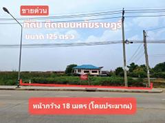 ขาย ที่ดิน ติดถนนใหญ่ ที่ดินหทัยราษฎร์ 125 ตร.วา-202310311602031698742923411.jpg