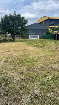  #ขายที่ดินเปล่าฟ้าฮ่ามเมืองเชียงใหม่-202311061501571699257717589.jpg