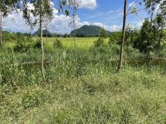 ขายที่ดินเปล่า โฉนด ใกล้ถนนทล.สาย 21 เพียง 1 กม. อ.บึงสามพัน เพชรบูรณ์ ใกล้เคียงมีโรงแรม ร้านกาแฟ รีสอร์ท วิวเขา อากาศดีมาก-202311141339161699943956824.jpeg