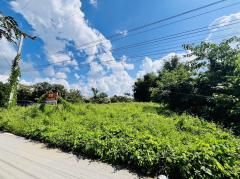 ขายที่ดินเปล่า 143 ตร.ว ใกล้แยกน้ำบ่อหลวง ถ.เลี่ยงเมืองสันป่าตอง-หางดง-202311161324411700115881483.jpg