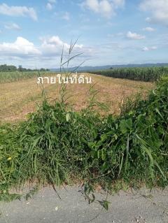 ขายที่ดิน 18-2-52 ไร่ ต.หินซ้อน อ.แก่งคอยที่ดินอยู่ตรงข้ามสหกรณ์โคนม ห่างถนนใหญ่ สระบุรี-หล่มสัก 13 กม-202311161740191700131219288.jpg