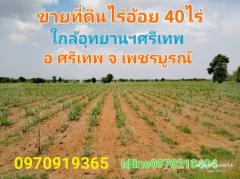 ขาย ที่ดิน  39 ไร่ 3 งาน 80 ตร.วา ใกล้อุทยานประวัติศาสตร์ศรีเทพ เพชรบูรณ์