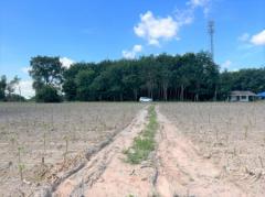ขาย ที่ดิน WF058 หน้ากว้าง 101 m แยกมาบข่า นิคมพัฒนา ระยอง . 29 ไร่ 33.5 ตร.วา ผัง EEC ส้ม ห่างถนนสาย 3191 ถนนสาย 36 เพียง 1 Km-202311190754501700355290665.jpg