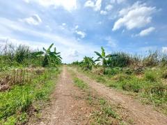 ที่ดินจัดสรร ล็อคที่ 22 ถ.346 ลาดหลุมแก้ว ปทุมธานี-202311231057201700711840565.jpg