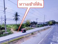 ที่ดินจัดสรร ล็อคที่ 21 ถ.346 ลาดหลุมแก้ว ปทุมธานี-202311231059451700711985175.jpg