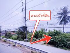 ที่ดินจัดสรร ล็อคที่ 21 ถ.346 ลาดหลุมแก้ว ปทุมธานี-202311231059511700711991950.jpg