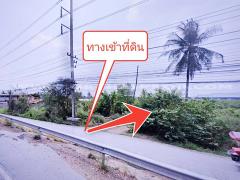 ที่ดินจัดสรร ล็อคที่ 18 ถ.346 ลาดหลุมแก้ว ปทุมธานี-202311231107201700712440607.jpg