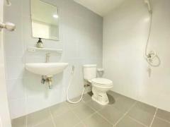 ขาย/ให้เช่าทาวเฮ้าส์ 2 ชั้น ในหมู่บ้านพฤกษา 86(N.795)-202311231126011700713561542.jpg