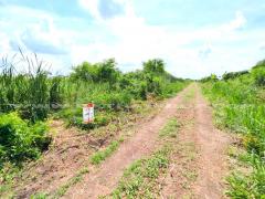 ที่ดินจัดสรร ล็อคที่ 10 อยู่ฝั่งซ้ายมือ ถ.346 ลาดหลุมแก้ว ปทุมธานี