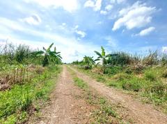 ที่ดินจัดสรร ล็อคที่ 10 อยู่ฝั่งซ้ายมือ ถ.346 ลาดหลุมแก้ว ปทุมธานี-202311241613171700817197791.jpg