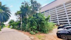 ขายที่ดินพัทยา ชลบุรี หลัง Foodland (ซ.พัทยากลาง4) ข้างตึกคอม Harbor Land #LB193 - 019442-202311271344451701067485813.jpg