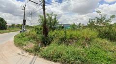 ขายที่ดินเปล่า 1 ไร่ แปลงมุม ใกล้นิคมอุตสาหกรรมอีสเทิร์นซีบอร์ด ถนนสาย3013 ปลวกแดง ระยอง.-202311291054501701230090691.jpg