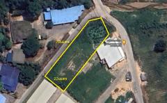 ขายที่ดินเปล่า 1 ไร่ แปลงมุม ใกล้นิคมอุตสาหกรรมอีสเทิร์นซีบอร์ด ถนนสาย3013 ปลวกแดง ระยอง.-202311291054521701230092091.jpg