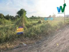 ขายด่วนที่สุด ที่ดินเปล่า 1ไร่85.1 ตารางวา ซอยคุ้มเกล้า46 ที่พร้อมใช้งาน ใกล้โรงเรียนเทพศิรินทร์ร่มเกล้า  ยื่นกู้ฟรี-202312071145391701924339228.jpg