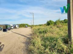 ขายด่วนที่สุด ที่ดินเปล่า 1ไร่85.1 ตารางวา ซอยคุ้มเกล้า46 ที่พร้อมใช้งาน ใกล้โรงเรียนเทพศิรินทร์ร่มเกล้า  ยื่นกู้ฟรี-202312071145431701924343049.jpg