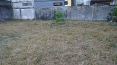 ขายที่ดินขนาด97 ตารางวาถนนวิภาวดีรังสิต60 แยก18-1-6 #LB44 – 000641-202401091644191704793459030.jpg