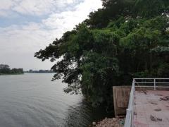 ขาย/ให้เช่า ที่ดินริมแม่น้ำ 910 ตร.วา ใกล้วัดหลุมดิน เมืองราชบุรี-202401121545381705049138406.jpg
