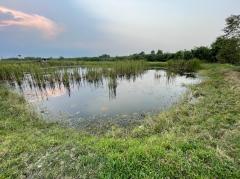 ขาย ที่ดิน เชียรใหญ่ นครศรีธรรมราช 1 ไร่ 3 งาน 4 ตร.วา ติดคลอง บรรยากาศดีมาก เหมาะปลูกบ้าน ทำการเกษตร เลี้ยงกุ้ง ราคาพิเศษสุด-202401170200321705431632545.jpg