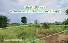 ขาย ที่ดิน จัดสรร ชัยบาดาล ลพบุรี 100 ตร.วา ที่ดินแปลงสวย Land for SALE in Lopburi-202401170356351705438595577.jpg