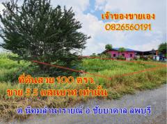 ขาย ที่ดิน จัดสรร ชัยบาดาล ลพบุรี 100 ตร.วา ที่ดินแปลงสวย Land for SALE in Lopburi-202401170356361705438596294.jpg