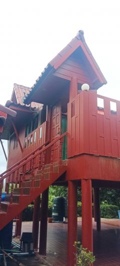 ขายบ้านทรงไทยปลูกใหม่ใช้คอนกรีตทั้งหมดพร้อมที่ดิน200ตรว.อยู่ในหมู่บ้านขายเพียง6แสนพร้อมเข้าอยู่อาศัยได้เลย หรือซื้อไว้มาพักตากอากาศ-202401181124181705551858463.jpeg