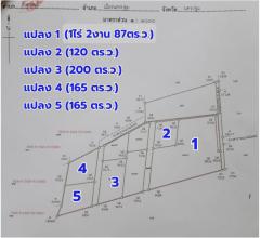 ขาย ที่ดินเปล่า นครปฐม 7แยกห้อยจรเข้  บรรยากาศบ้านสวนสงบ  1 งาน 65.8 ตร.วา-202401192336101705682170992.jpg