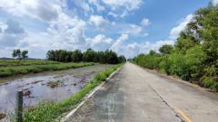 ขาย ที่ดิน 2 ไร่ คลอง 5 ฝั่งตะวันตก คลองหลวง ปทุมธานี ใกล้เส้นทางหลวงปทุมธานี-อยุธยา-202401231802331706007753860.jpg