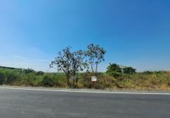 ขายที่ดิน คลอง 15 ถนนลำลูกกา ตำบลชุมพล อำเภอองครักษ์ นครนายก-202401241034271706067267640.jpg
