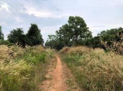 ขายที่ดินติดริมแม่น้ำเวฬุ 166 ไร่  ใกล้ถนนสุขุมวิท ตราด -202401261808571706267337939.jpg