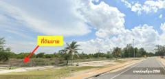 ขาย ที่ดิน ขายที่ดิน 34 ไร่ 1 งาน 87 ตร.ว. ติดทะเล (หาดแก้ว) จ.สงขลา-202401291245491706507149156.jpg