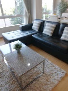 Luxury Condos for rent Sukhumvit42-63 fully furnished contract 1 year at least-202401311541191706690479975.jpg