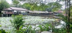 ขาย บ้านเดี่ยว สไตล์ เรือนไทย รีสอร์ท สวนอาหาร คาเฟ่พนาศรม 10 ไร่ 1 งาน 9.7 ตร.วา-202402020855581706838958546.jpg