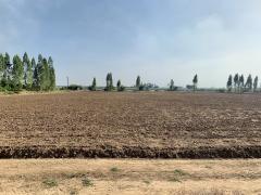 ขายที่ดินแปลงสวย เนื้อที่ 16-0-96.9ไร่ ทำเลดี ใกล้กรุงเทพ เหมาะทำจัดสรร,การเกษตรหรืออื่นๆ-202402021205341706850334019.jpeg