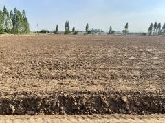 ขายที่ดินแปลงสวย เนื้อที่ 16-0-96.9ไร่ ทำเลดี ใกล้กรุงเทพ เหมาะทำจัดสรร,การเกษตรหรืออื่นๆ-202402021205351706850335444.jpeg