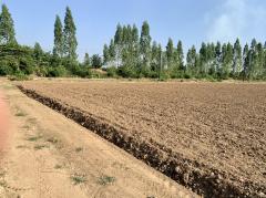 ขายที่ดินแปลงสวย เนื้อที่ 16-0-96.9ไร่ ทำเลดี ใกล้กรุงเทพ เหมาะทำจัดสรร,การเกษตรหรืออื่นๆ-202402021205361706850336909.jpeg