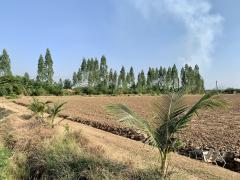 ขายที่ดินแปลงสวย เนื้อที่ 16-0-96.9ไร่ ทำเลดี ใกล้กรุงเทพ เหมาะทำจัดสรร,การเกษตรหรืออื่นๆ-202402021205381706850338395.jpeg