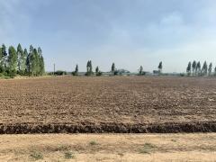 ขายที่ดินแปลงสวย เนื้อที่ 16-0-96.9ไร่ ทำเลดี ใกล้กรุงเทพ เหมาะทำจัดสรร,การเกษตรหรืออื่นๆ-202402021205401706850340045.jpeg