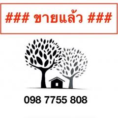 ขายที่ดินติดถนนลาดพร้าว 098 7755 808