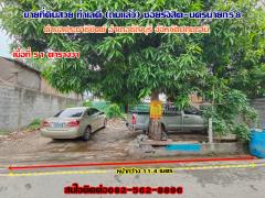 ขายด่วนถมแล้วที่ดินรังสิต-นครนายก 58 คลองสอง ธัญบุรี-ปทุมธานี-202402091515411707466541413.jpg