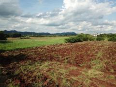 ขาย ที่ดิน เขาใหญ่ ต.หมูสี อ.ปากช่อง 3 ไร่ 1 งาน 63 ตร.วา-202402112229141707665354578.jpg