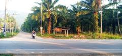 ขายที่ดินสวนปามล์ 22 ไร่ บ้านหาดพันไกร ติดถนนสาธารณะทั้ง 2 ด้าน ท่าแซะ ชุมพร เนี้อที่ 22 ไร่เป็นโฉนด เป็นสวนปามล์ทั้งหมด ทำเลดี เหมาะทำโรงงาน โกดัง หรือทำหมู่บ้านจัดสรร ใกล้ตัวเมืองห่างจากถนน-202402151045381707968738554.jpg