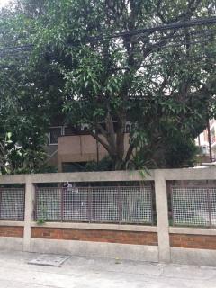 ให้เช่าบ้านเดี่ยว 74 ตรว. บ้านหัวมุม ใกล้ BTS เอกมัย(N.912)-202402161338201708065500015.jpg