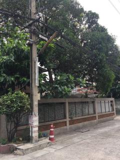 ให้เช่าบ้านเดี่ยว 74 ตรว. บ้านหัวมุม ใกล้ BTS เอกมัย(N.912)-202402161338211708065501062.jpg