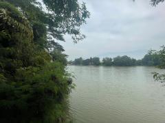 ขาย/ให้เช่า ที่ดินริมแม่น้ำ 910 ตร.วา ใกล้วัดหลุมดิน เมืองราชบุรี-202402192024351708349075215.jpg